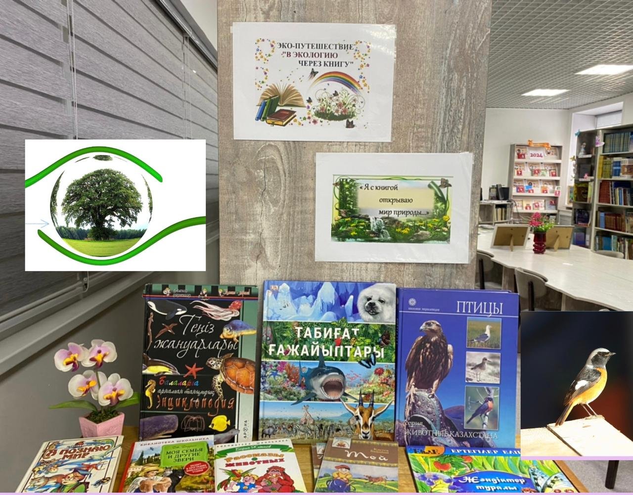 Книжная выставка "В экологию через книгу"